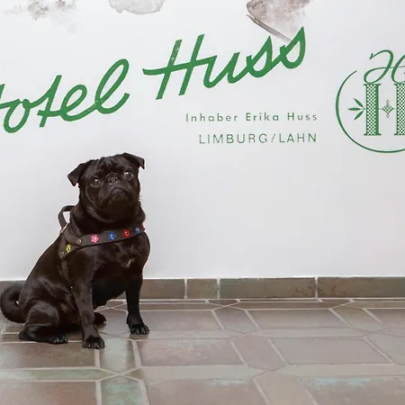 Huss Limburg 3*